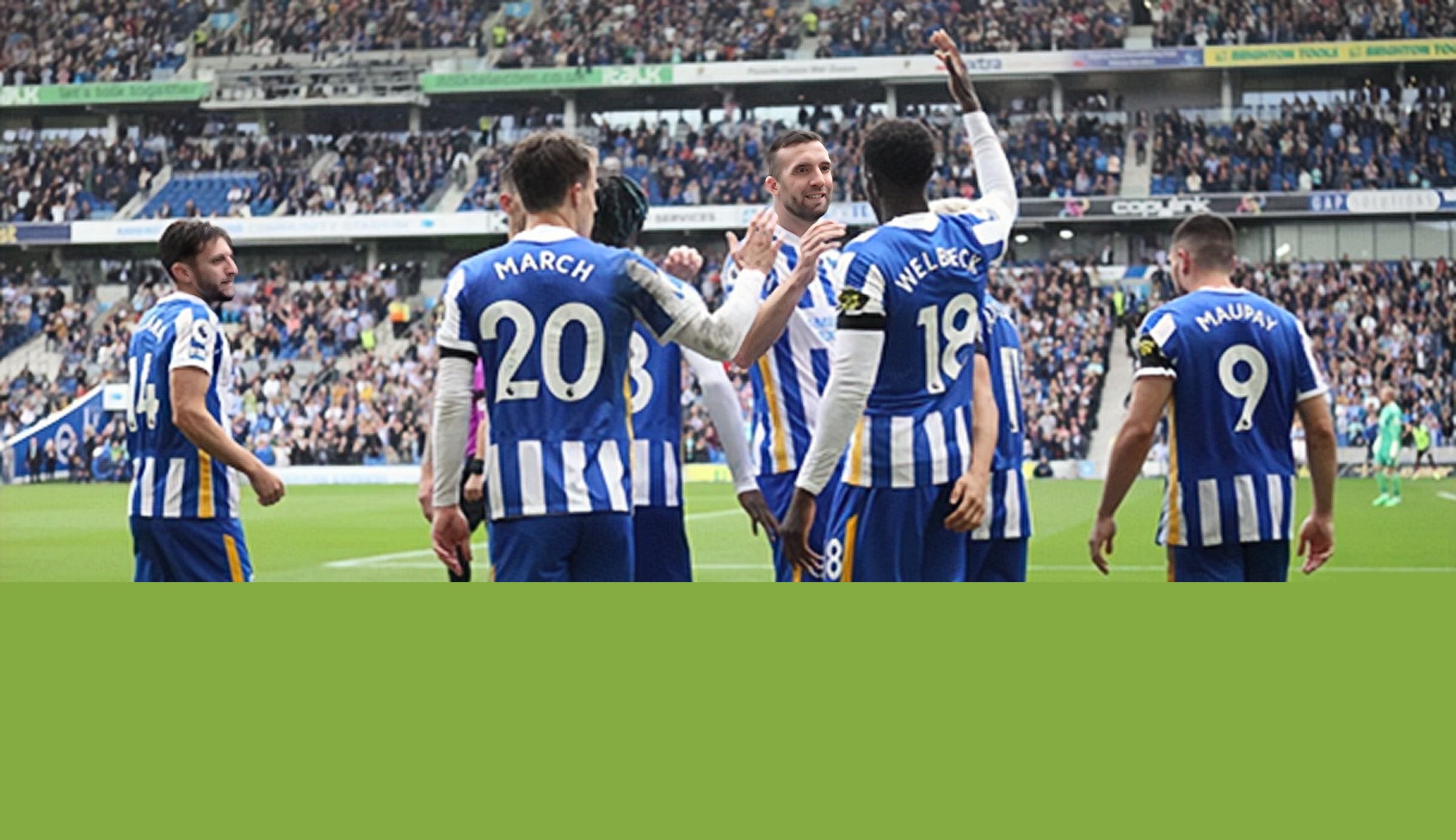 两钩式活动式抱索器